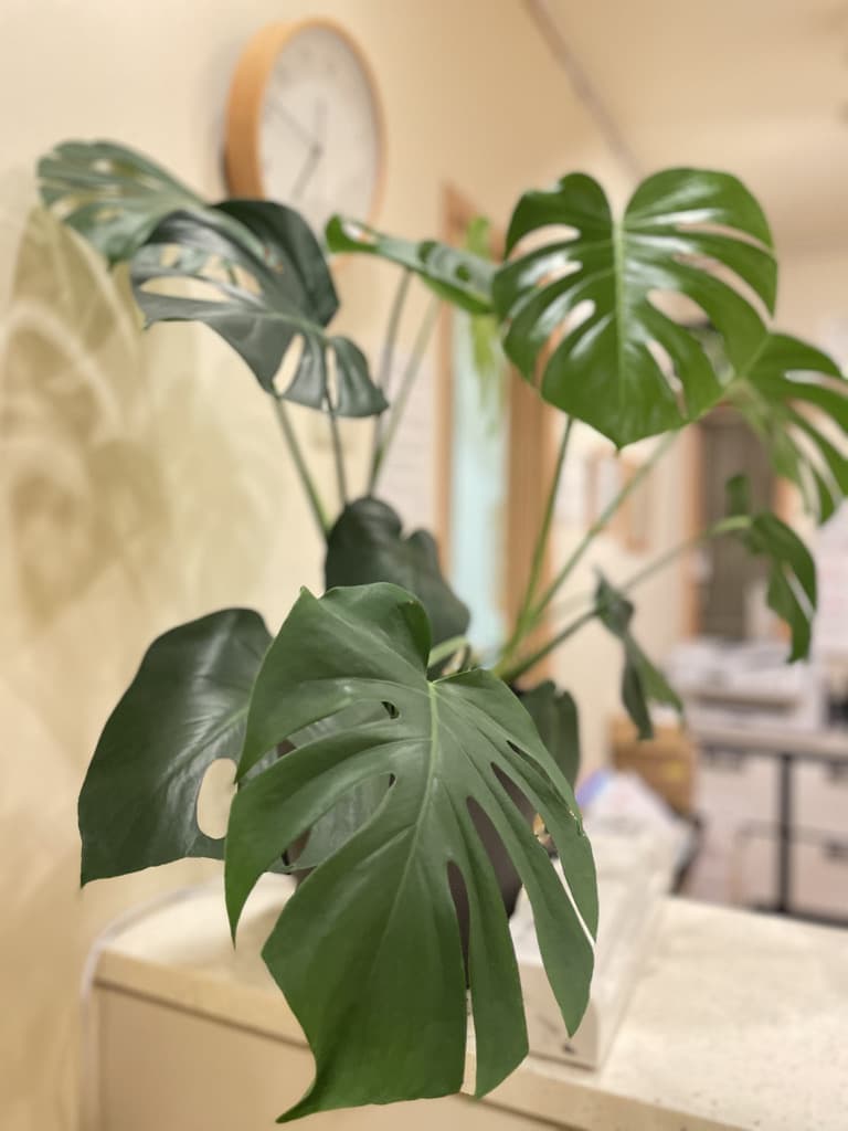 3d43c44b-8c01-4c04-95d1-0996e328dae5_1_105_c.jpg
